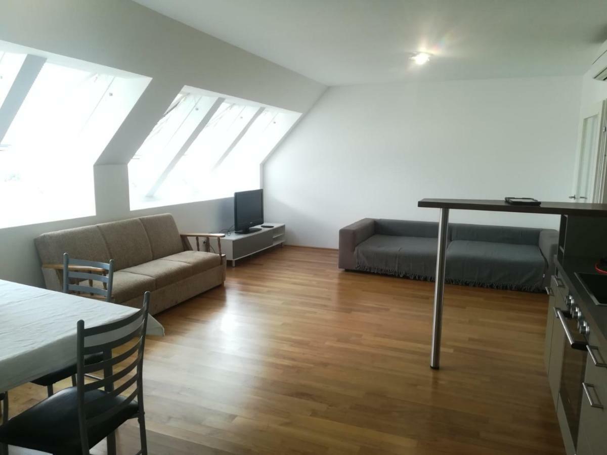 Apartment Roof Top With Views. Wien