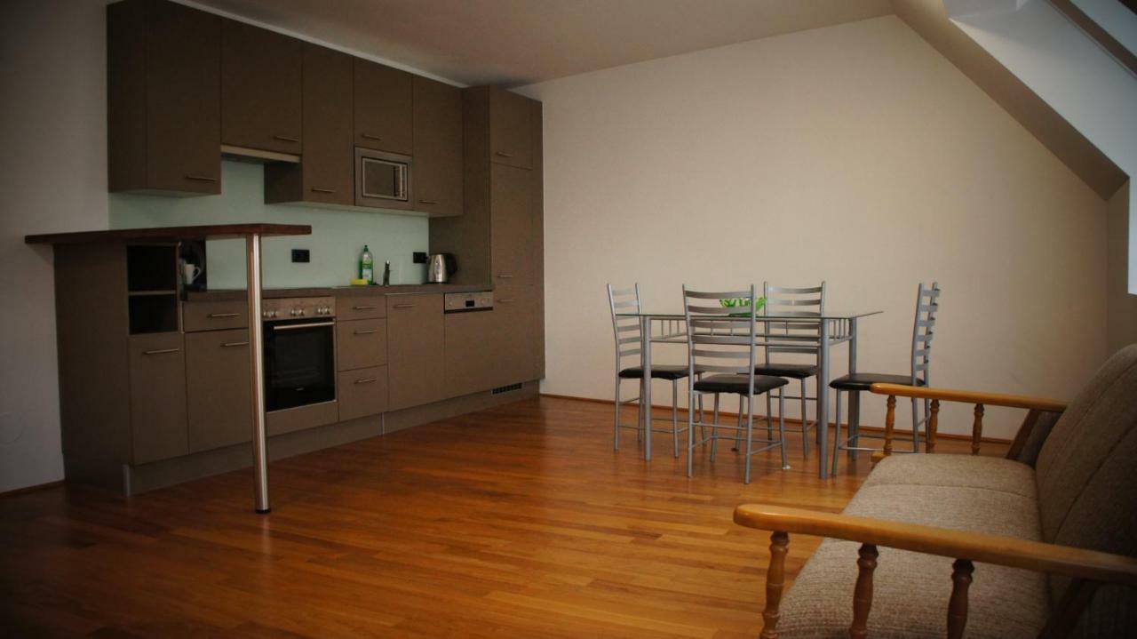 Apartment Roof Top With Views. Wien